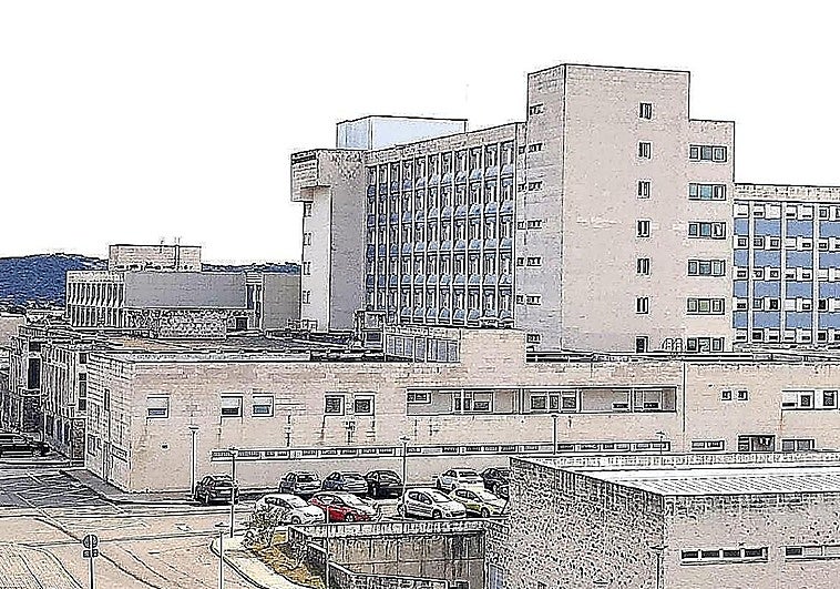 Herido grave un joven de 17 años tras caerse de un caballo cerca de Pasarón de la Vera